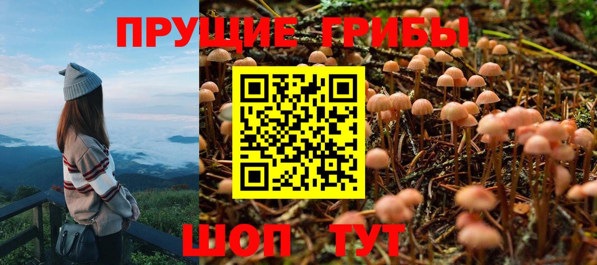 Галлюциногенные грибы Cubensis  Галлюциногенные грибы Magic Shrooms  Губаха  Вход с VPN 
